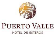 puerto-valle-logo